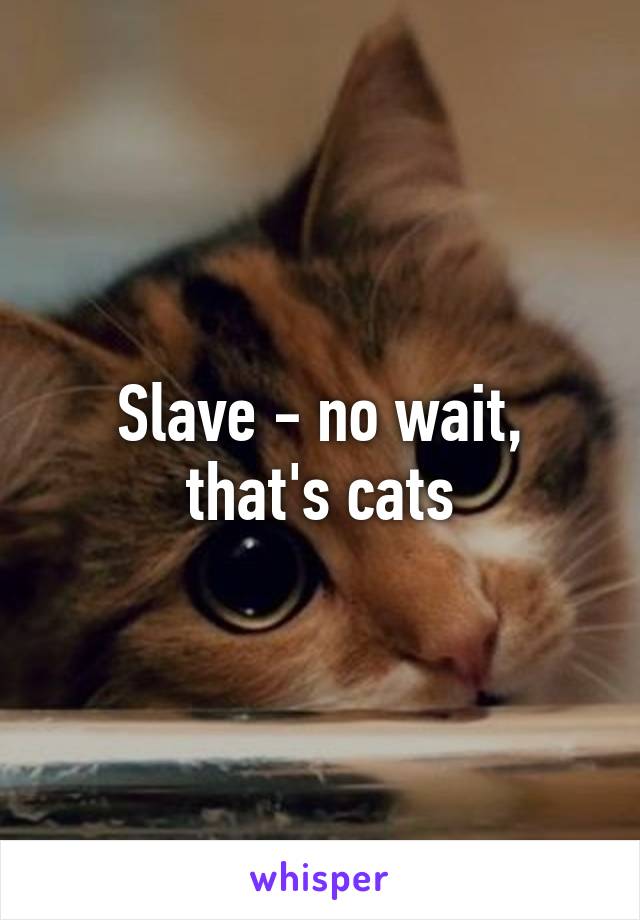 Slave - no wait, that's cats