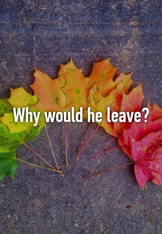 why-would-he-leave