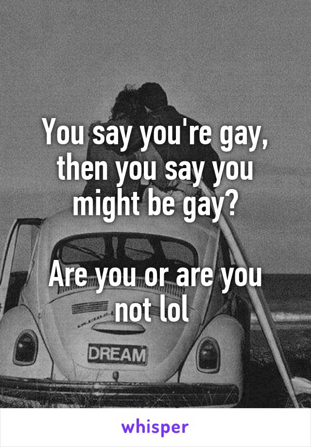 You say you're gay, then you say you might be gay?

Are you or are you not lol 