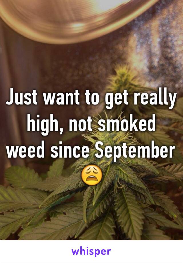 Just want to get really high, not smoked weed since September 😩