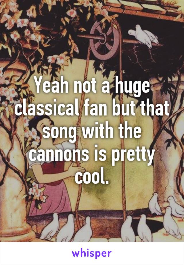 Yeah not a huge classical fan but that song with the cannons is pretty cool.