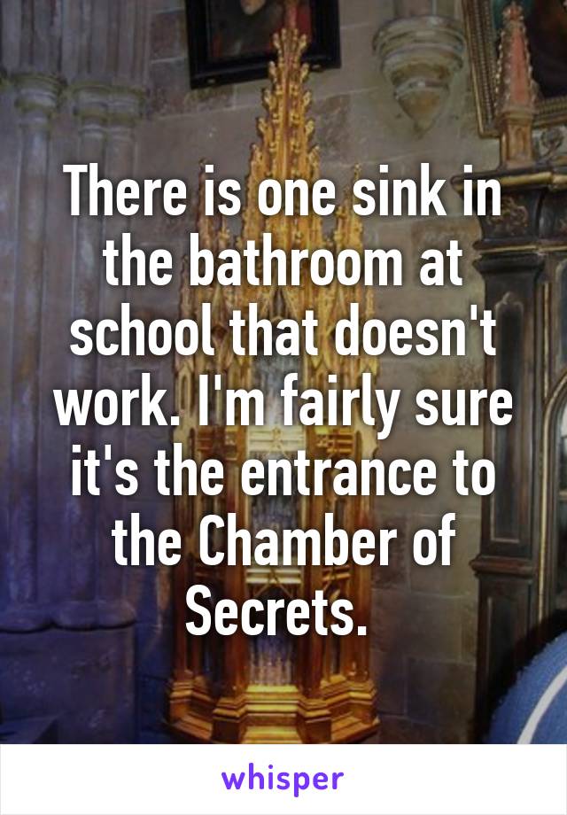 There is one sink in the bathroom at school that doesn't work. I'm fairly sure it's the entrance to the Chamber of Secrets. 
