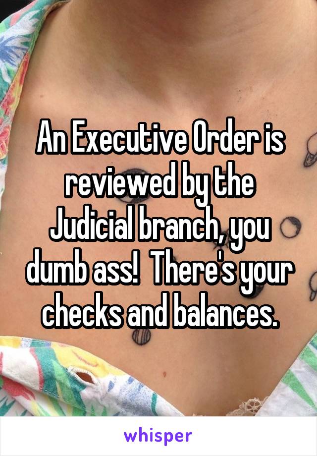 An Executive Order is reviewed by the Judicial branch, you dumb ass!  There's your checks and balances.