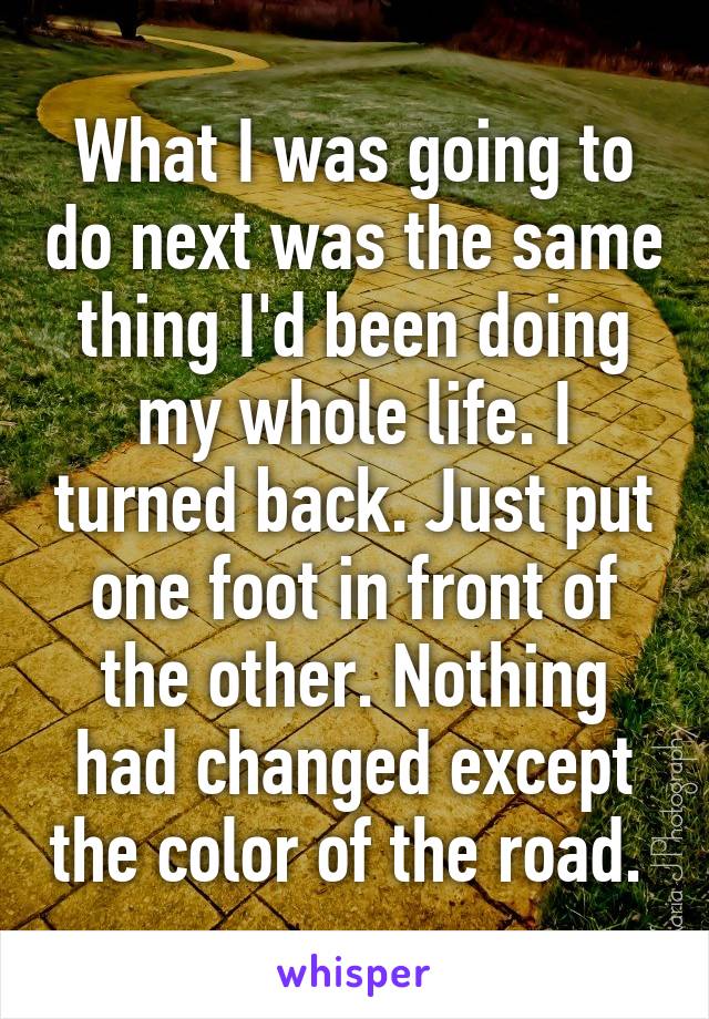 What I was going to do next was the same thing I'd been doing my whole life. I turned back. Just put one foot in front of the other. Nothing had changed except the color of the road. 