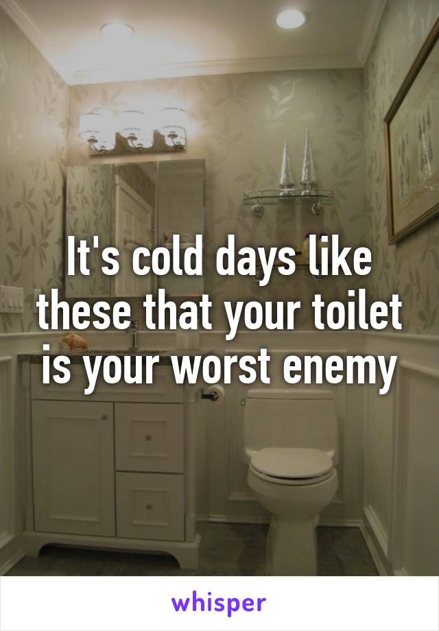 It's cold days like these that your toilet is your worst enemy