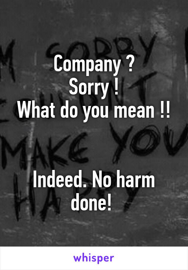 Company ?
Sorry !
What do you mean !!


Indeed. No harm done! 