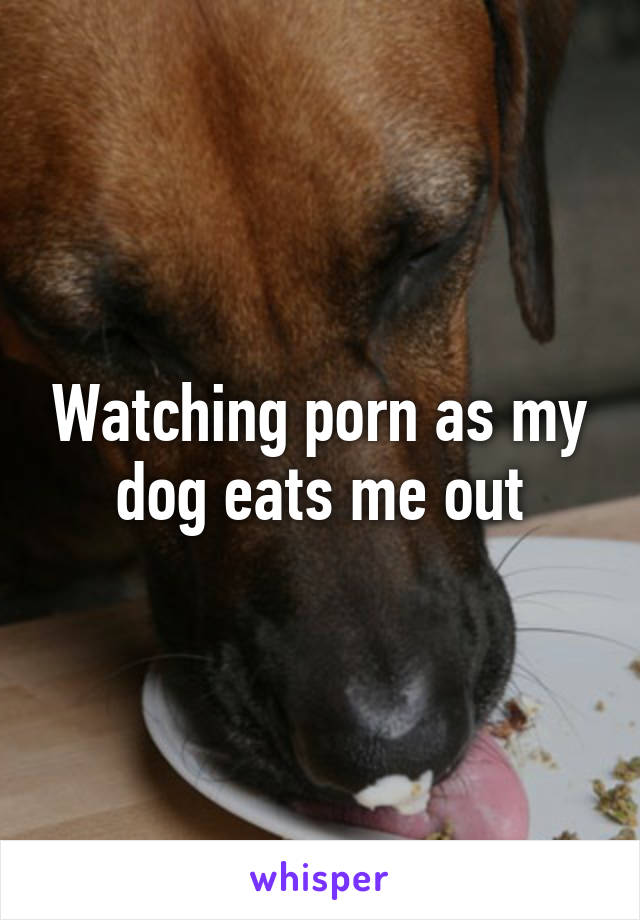 Watching porn as my dog eats me out