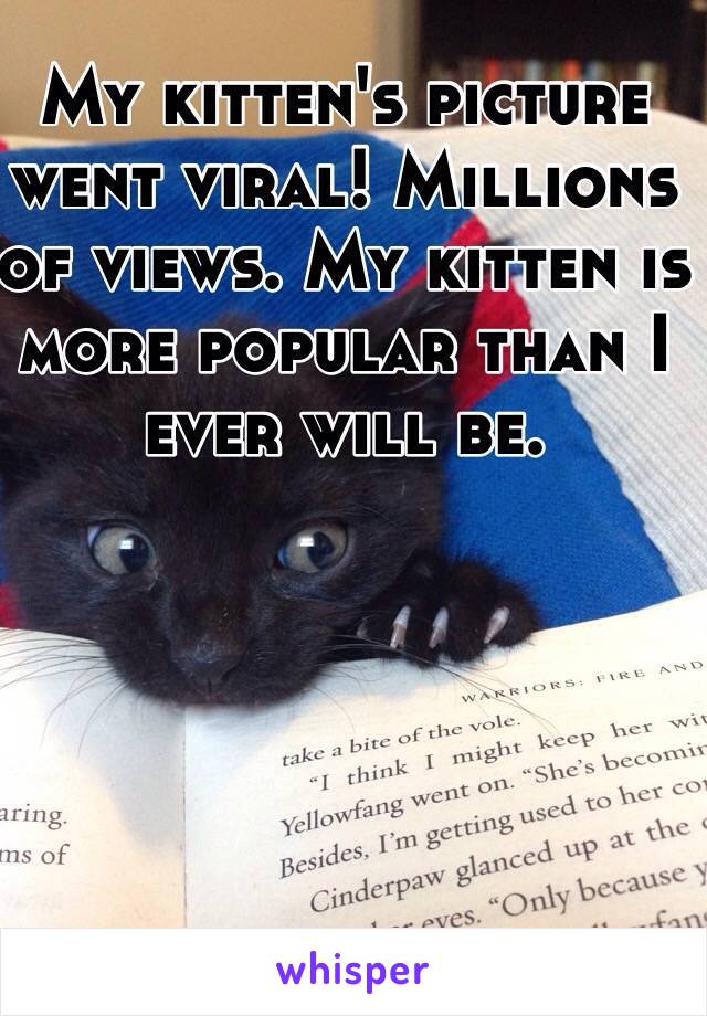 My kitten's picture went viral! Millions of views. My kitten is more popular than I ever will be. 