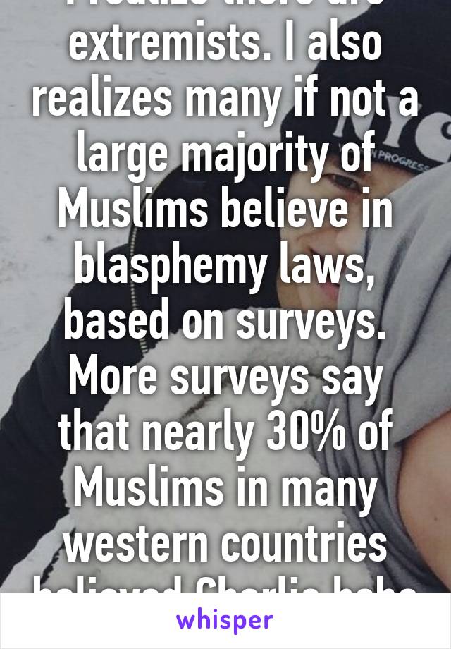 I realize there are extremists. I also realizes many if not a large majority of Muslims believe in blasphemy laws, based on surveys. More surveys say that nearly 30% of Muslims in many western countries believed Charlie hebo 