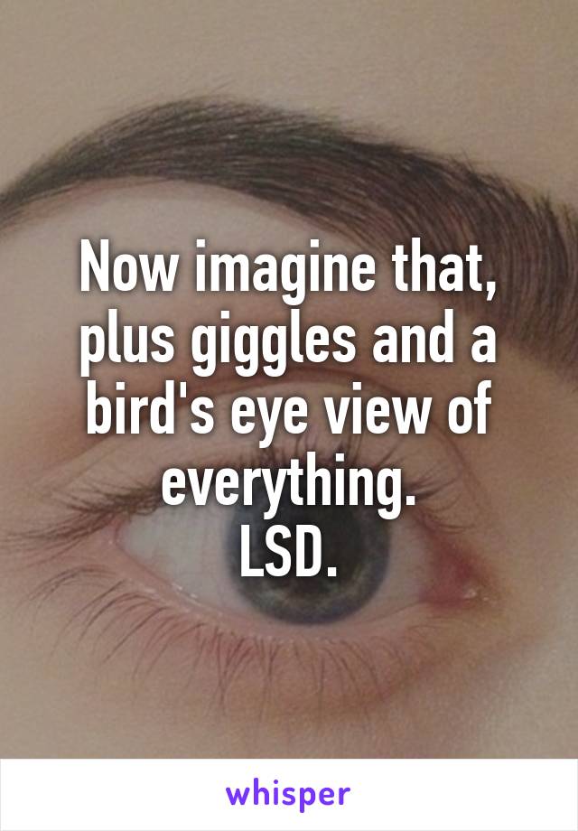 Now imagine that, plus giggles and a bird's eye view of everything.
LSD.