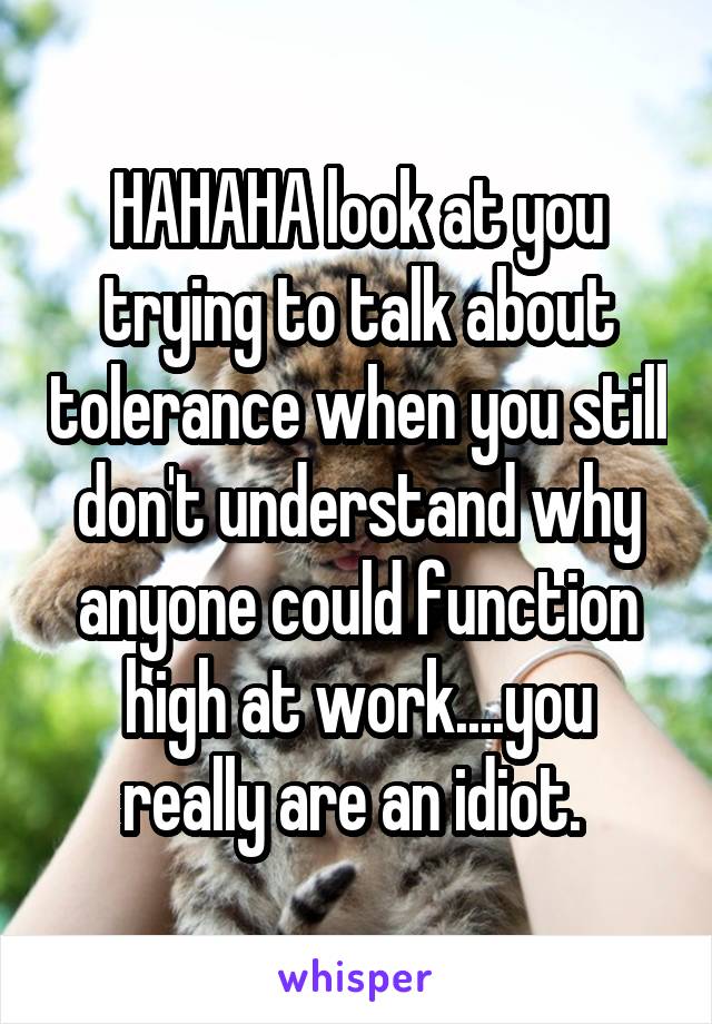 HAHAHA look at you trying to talk about tolerance when you still don't understand why anyone could function high at work....you really are an idiot. 