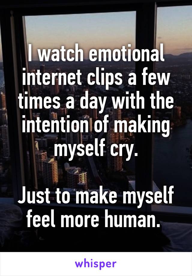 I watch emotional internet clips a few times a day with the intention of making myself cry.

Just to make myself feel more human. 