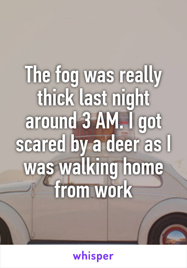 The fog was really thick last night around 3 AM. I got scared by a deer as I was walking home from work