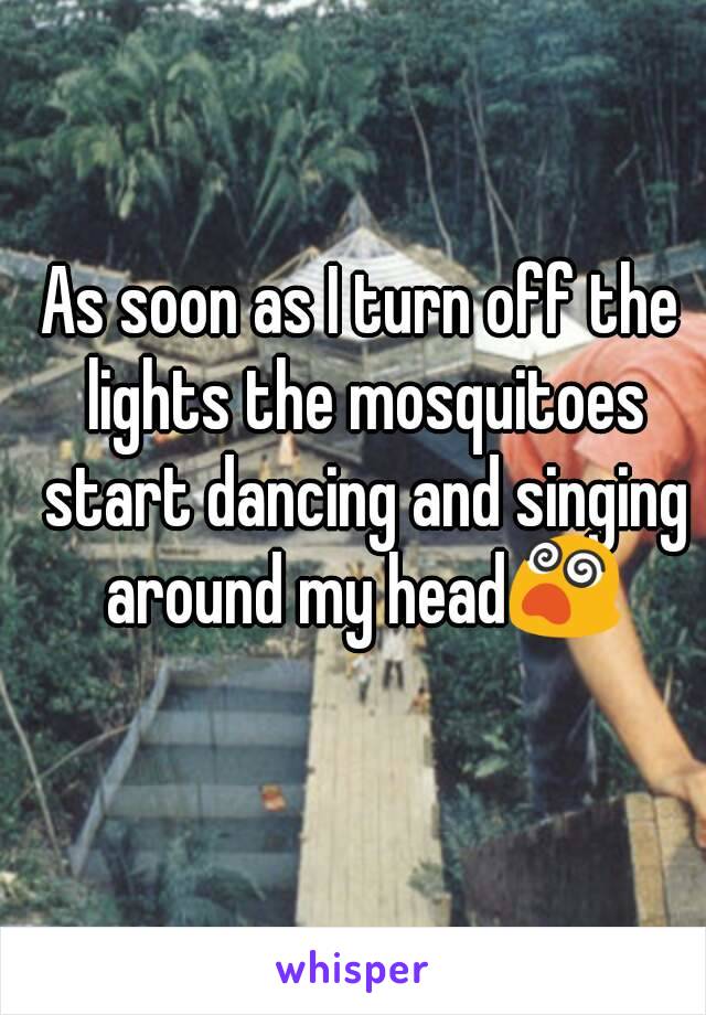 As soon as I turn off the lights the mosquitoes start dancing and singing around my head😵