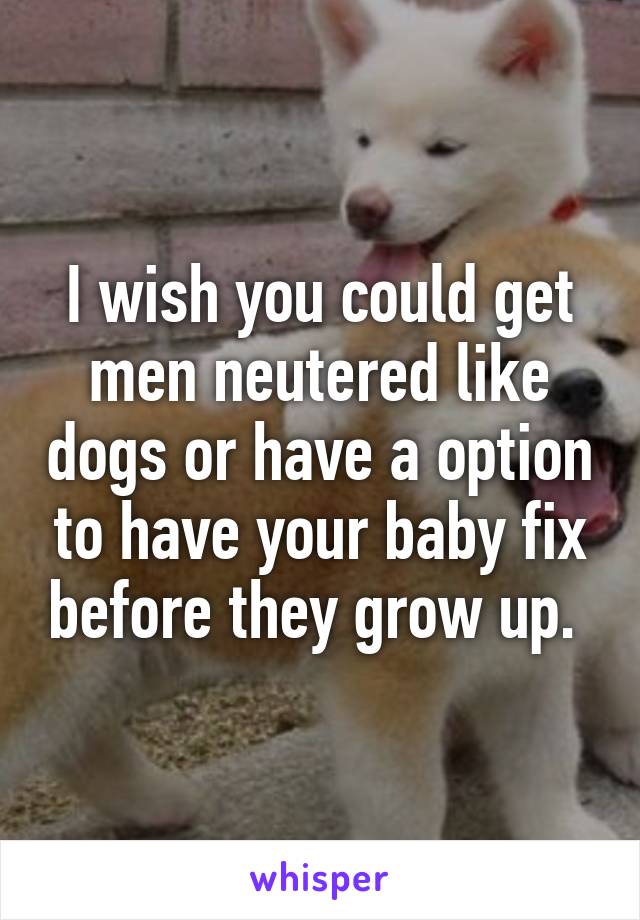 I wish you could get men neutered like dogs or have a option to have your baby fix before they grow up. 