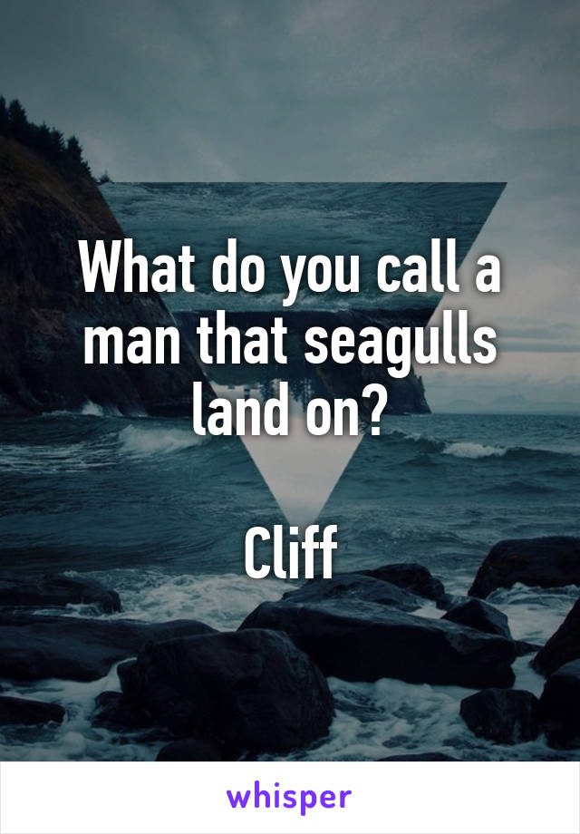 What do you call a man that seagulls land on?

Cliff