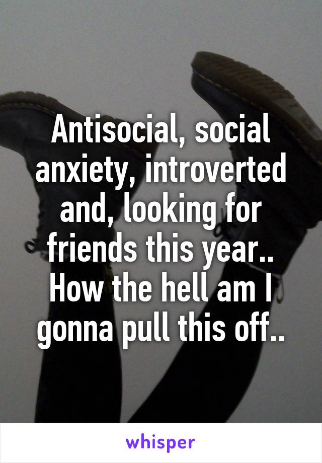 Antisocial, social anxiety, introverted and, looking for friends this year.. How the hell am I gonna pull this off..