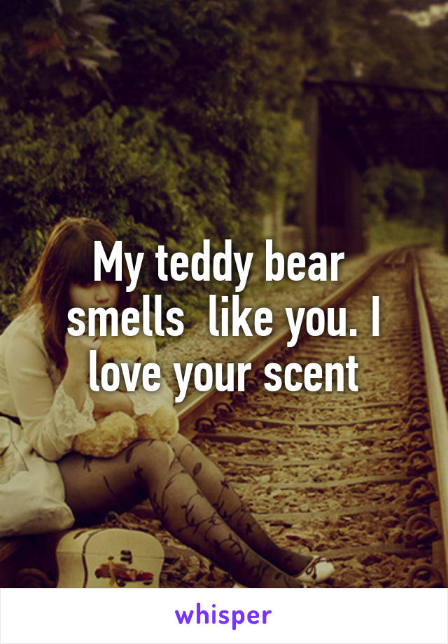 My teddy bear  smells  like you. I love your scent