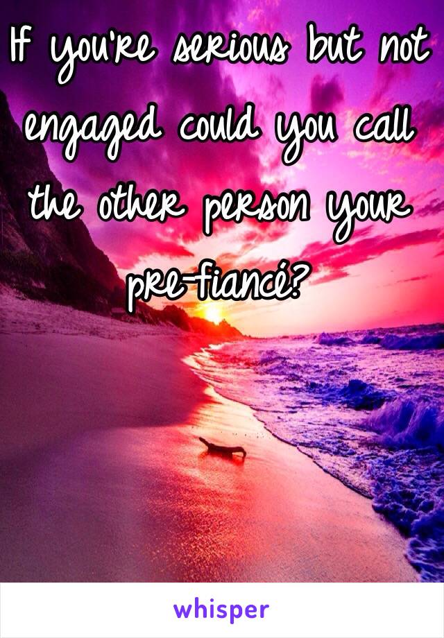 If you're serious but not engaged could you call the other person your pre-fiancé?