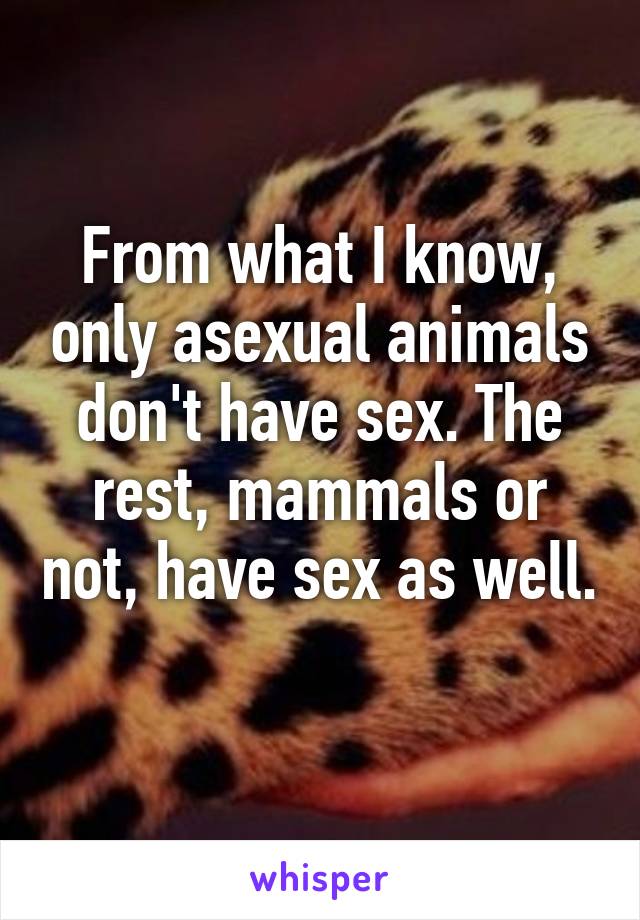 From what I know, only asexual animals don't have sex. The rest, mammals or not, have sex as well. 