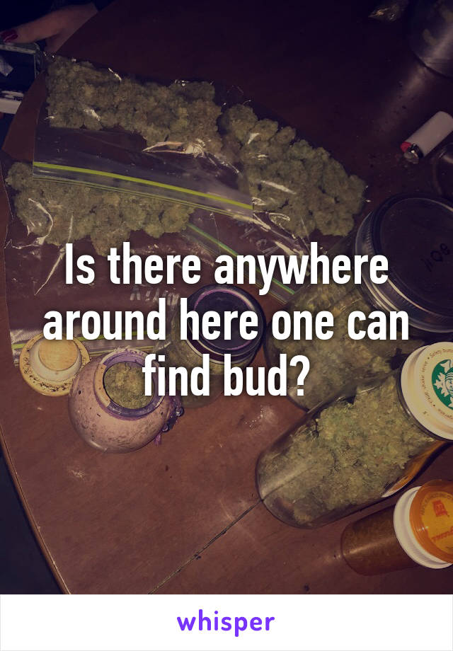 Is there anywhere around here one can find bud?