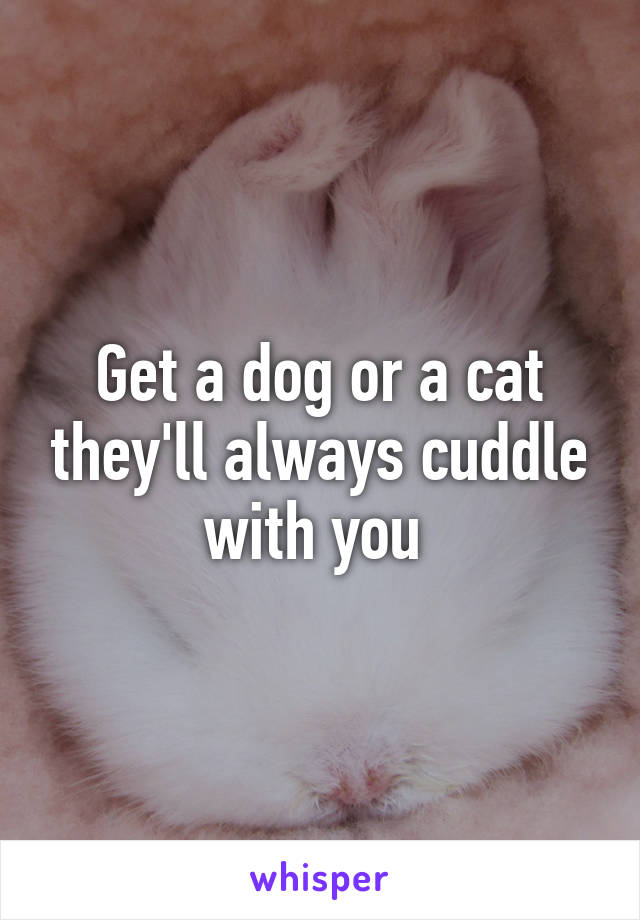 Get a dog or a cat they'll always cuddle with you 