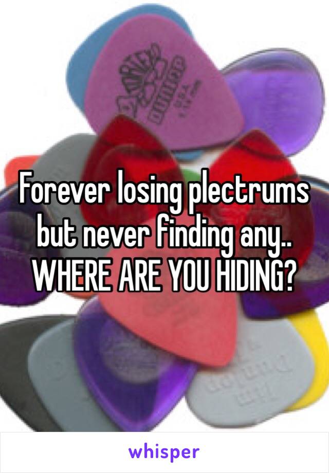 Forever losing plectrums but never finding any..
WHERE ARE YOU HIDING? 