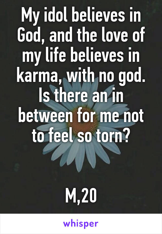 My idol believes in God, and the love of my life believes in karma, with no god.
Is there an in between for me not to feel so torn?


M,20
