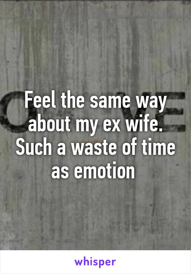 Feel the same way about my ex wife. Such a waste of time as emotion 