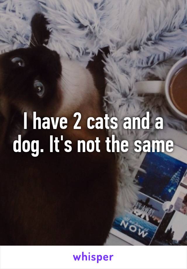 I have 2 cats and a dog. It's not the same