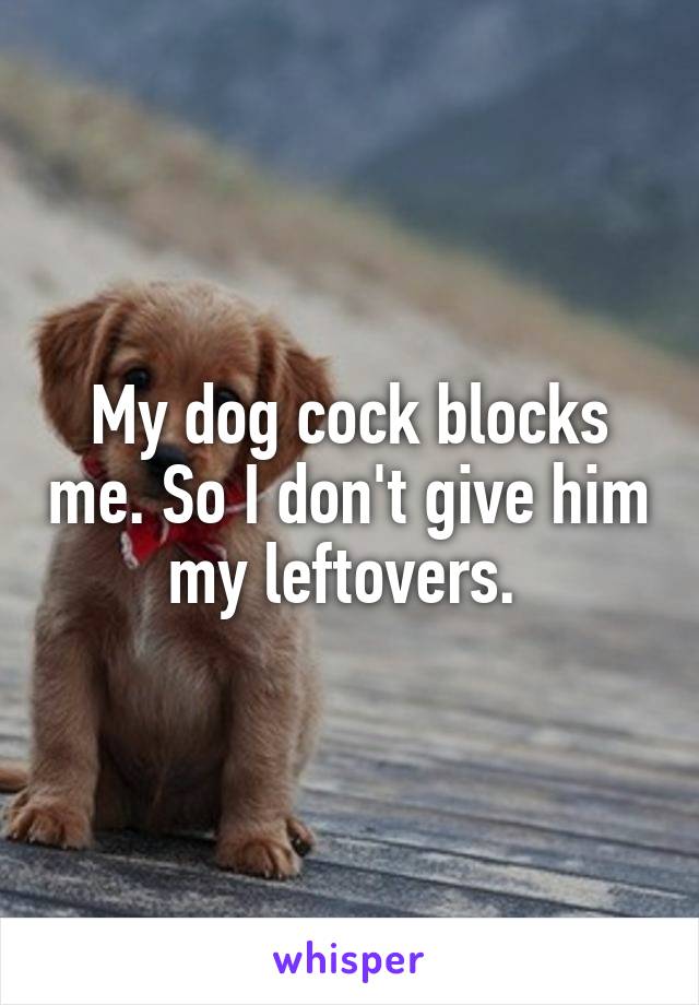 My dog cock blocks me. So I don't give him my leftovers. 