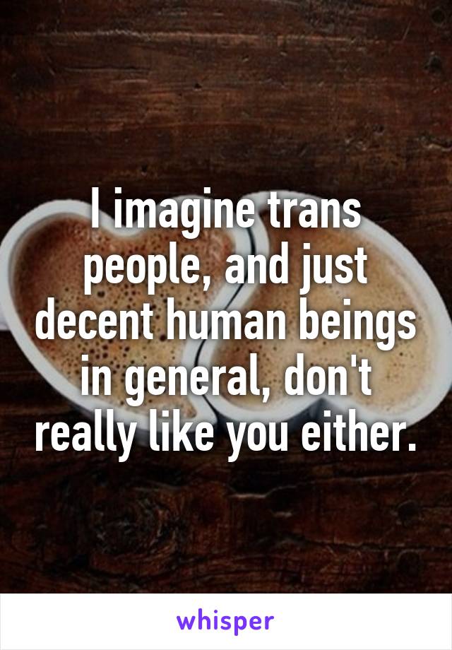 I imagine trans people, and just decent human beings in general, don't really like you either.