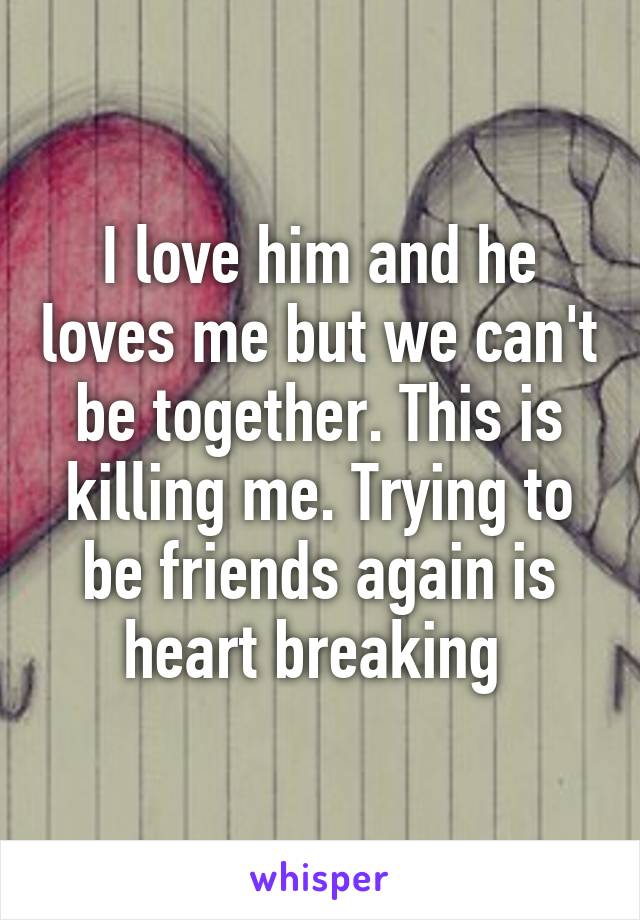 I love him and he loves me but we can't be together. This is killing me. Trying to be friends again is heart breaking 