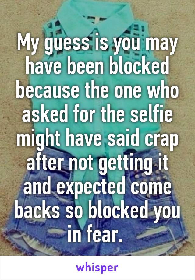 My guess is you may have been blocked because the one who asked for the selfie might have said crap after not getting it and expected come backs so blocked you in fear. 