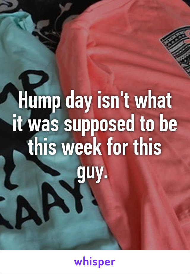 Hump day isn't what it was supposed to be this week for this guy. 