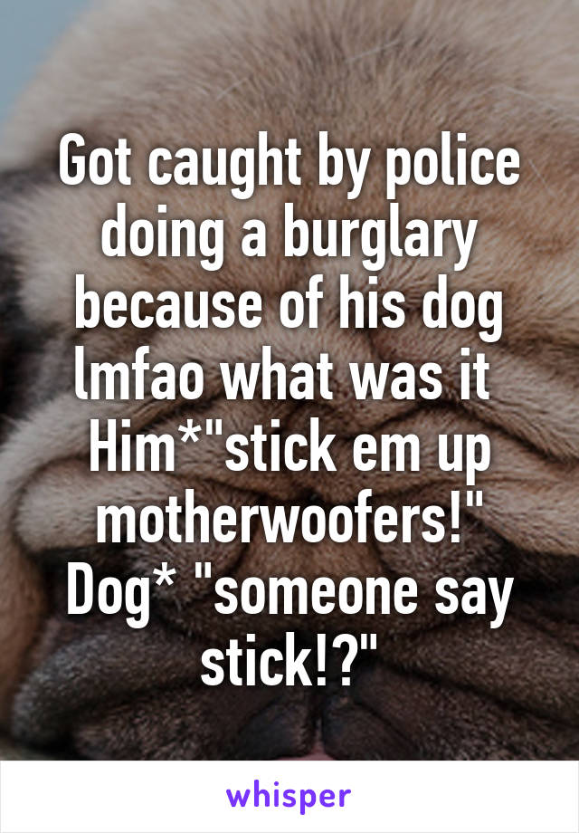 Got caught by police doing a burglary because of his dog lmfao what was it 
Him*"stick em up motherwoofers!"
Dog* "someone say stick!?"