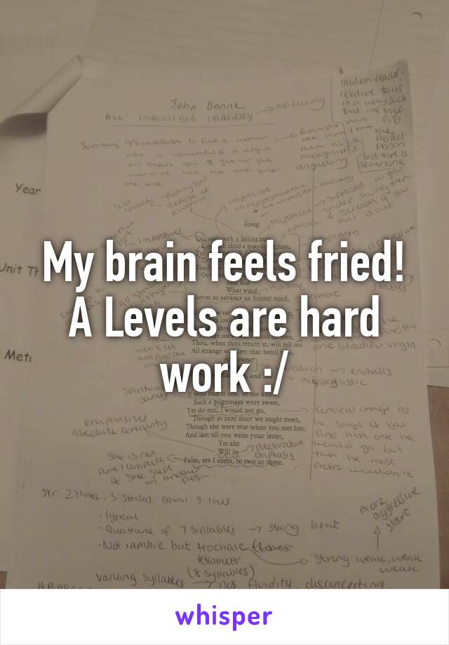 My brain feels fried! A Levels are hard work :/