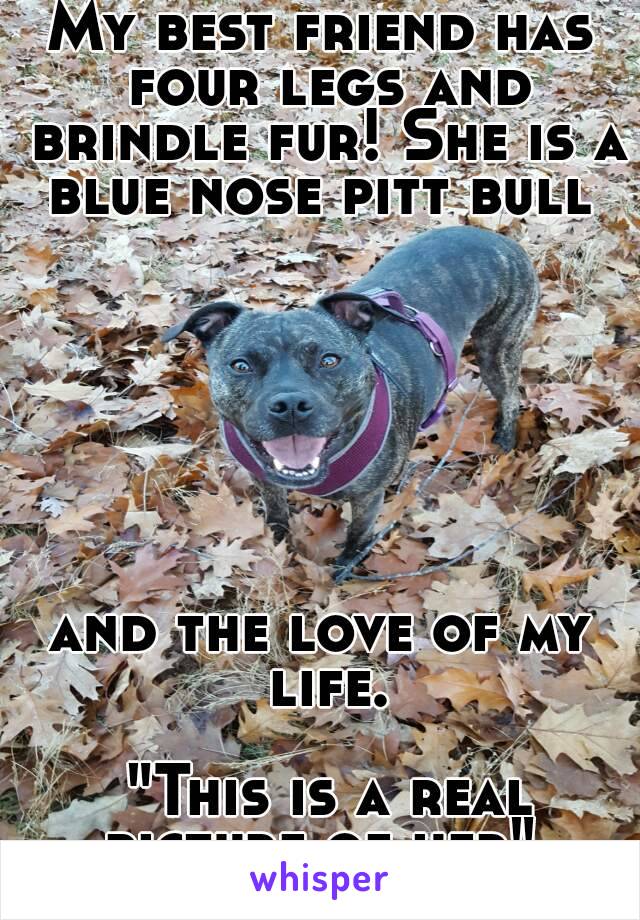 My best friend has four legs and brindle fur! She is a blue nose pitt bull 







and the love of my life.

 "This is a real picture of her" 