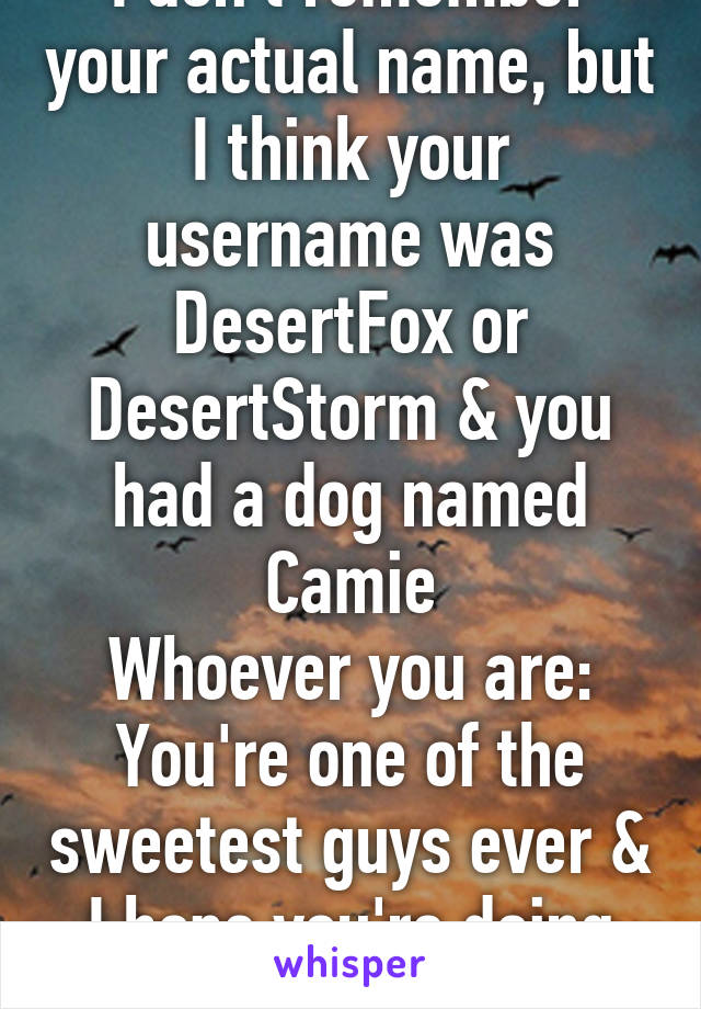 I don't remember your actual name, but I think your username was DesertFox or DesertStorm & you had a dog named Camie
Whoever you are: You're one of the sweetest guys ever & I hope you're doing well! 