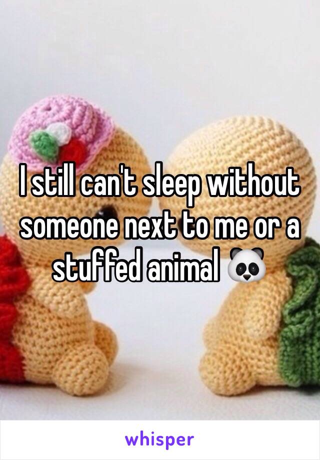 I still can't sleep without someone next to me or a stuffed animal 🐼