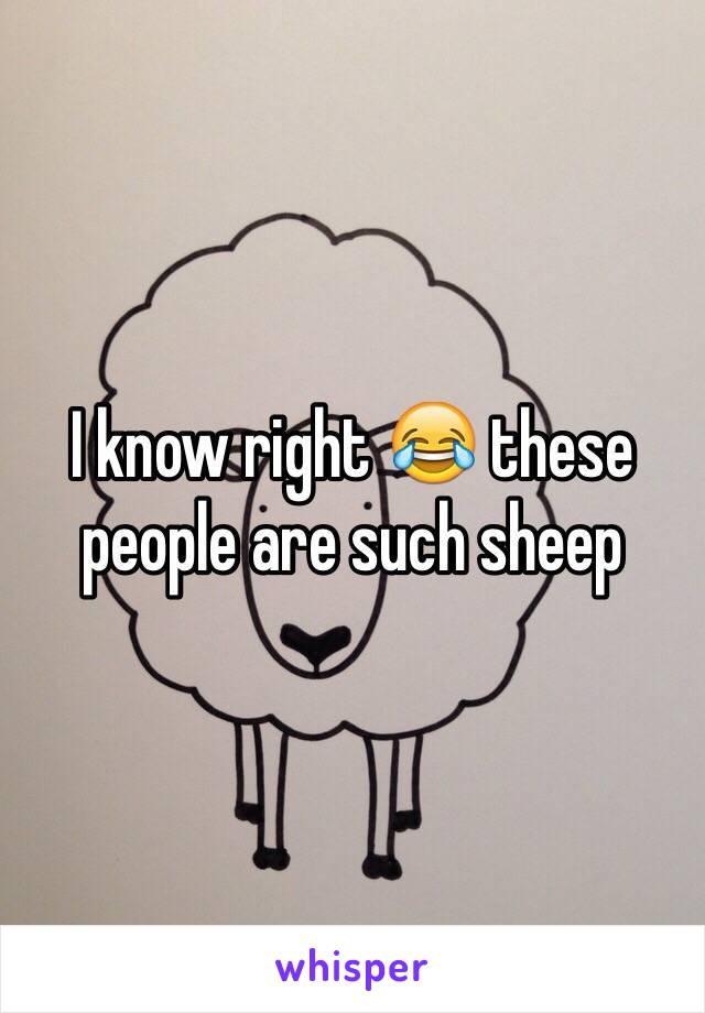 I know right 😂 these people are such sheep