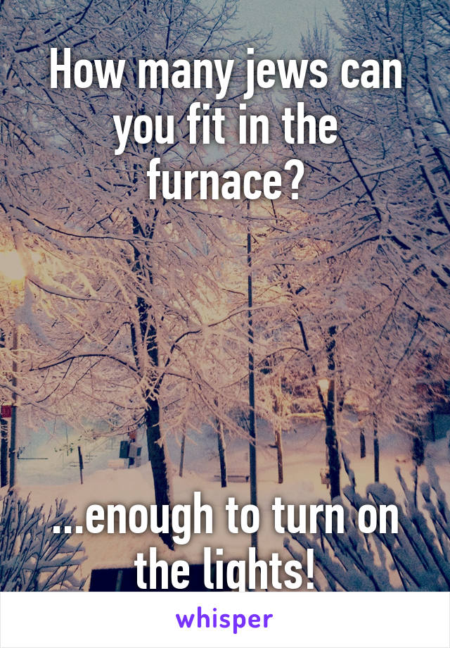 How many jews can you fit in the furnace?





...enough to turn on the lights!