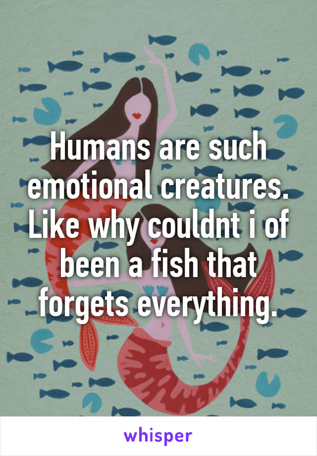 Humans are such emotional creatures. Like why couldnt i of been a fish that forgets everything.