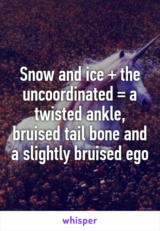 Snow and ice + the uncoordinated = a twisted ankle, bruised tail bone and a slightly bruised ego