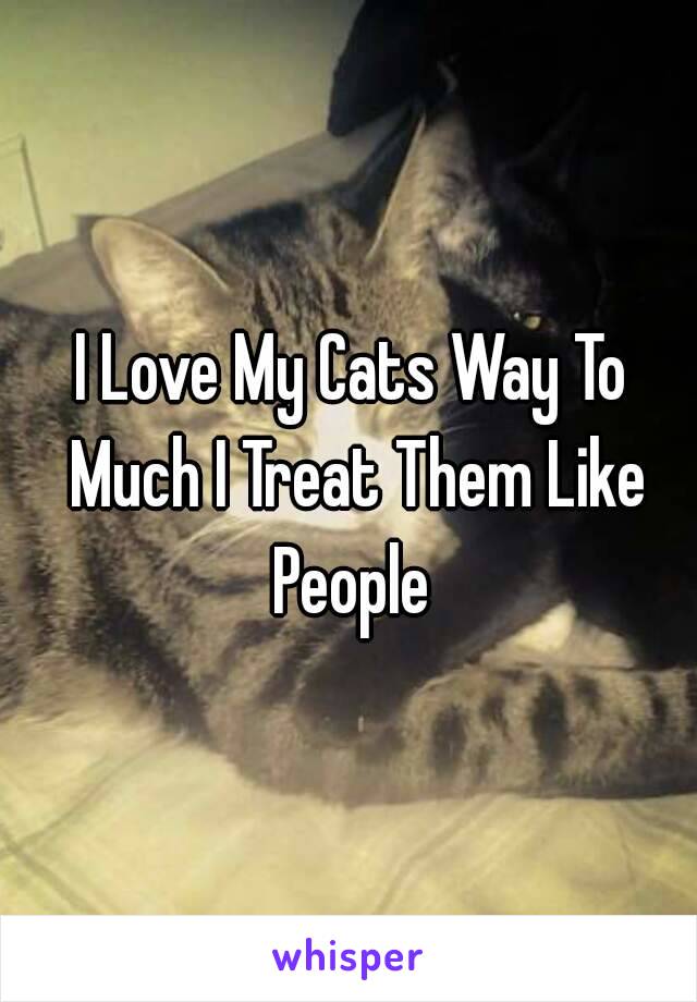 I Love My Cats Way To Much I Treat Them Like People 