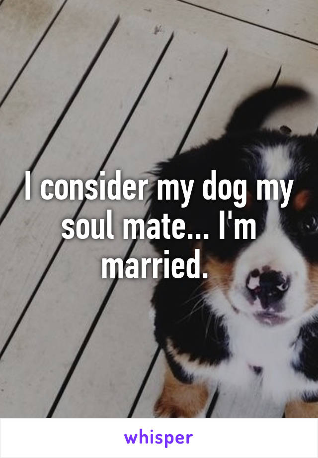 I consider my dog my soul mate... I'm married. 