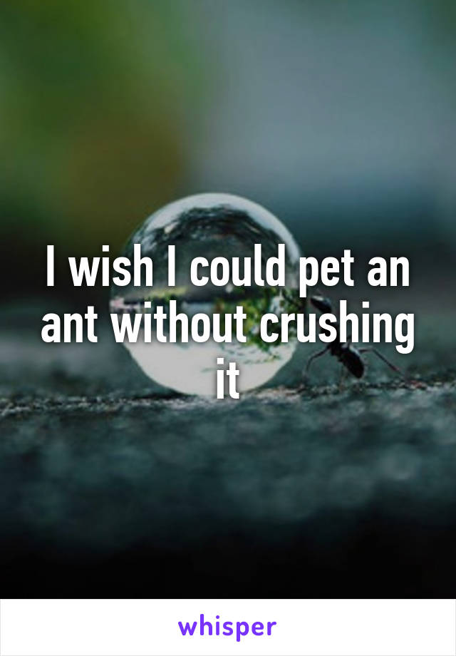 I wish I could pet an ant without crushing it