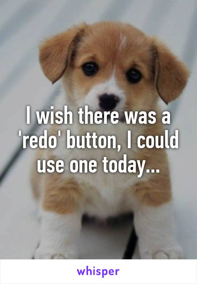 I wish there was a 'redo' button, I could use one today...