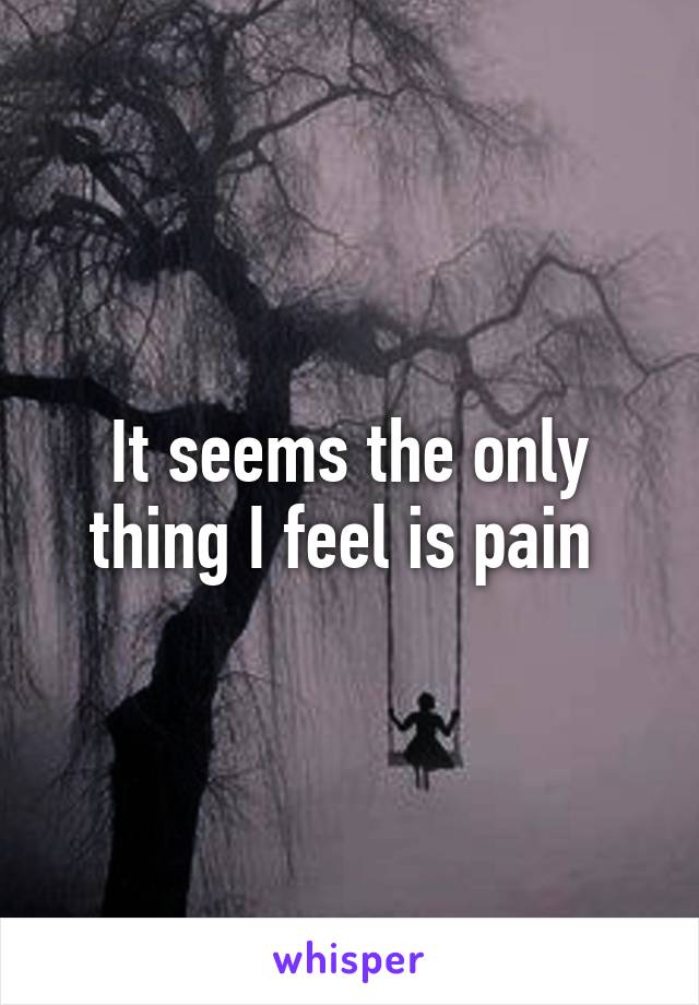 It seems the only thing I feel is pain 