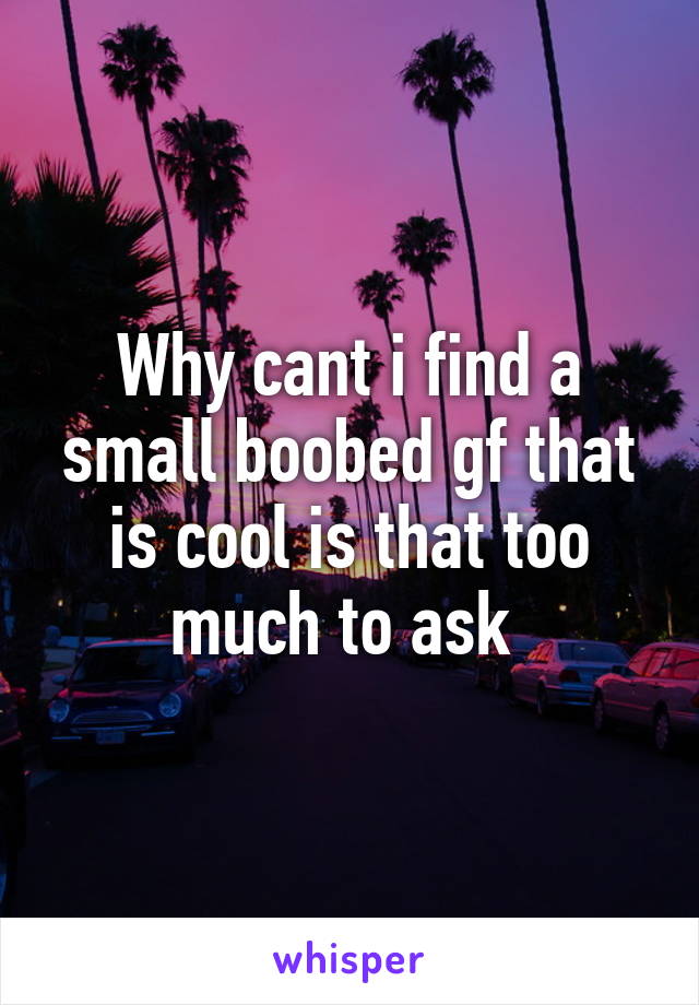 Why cant i find a small boobed gf that is cool is that too much to ask 